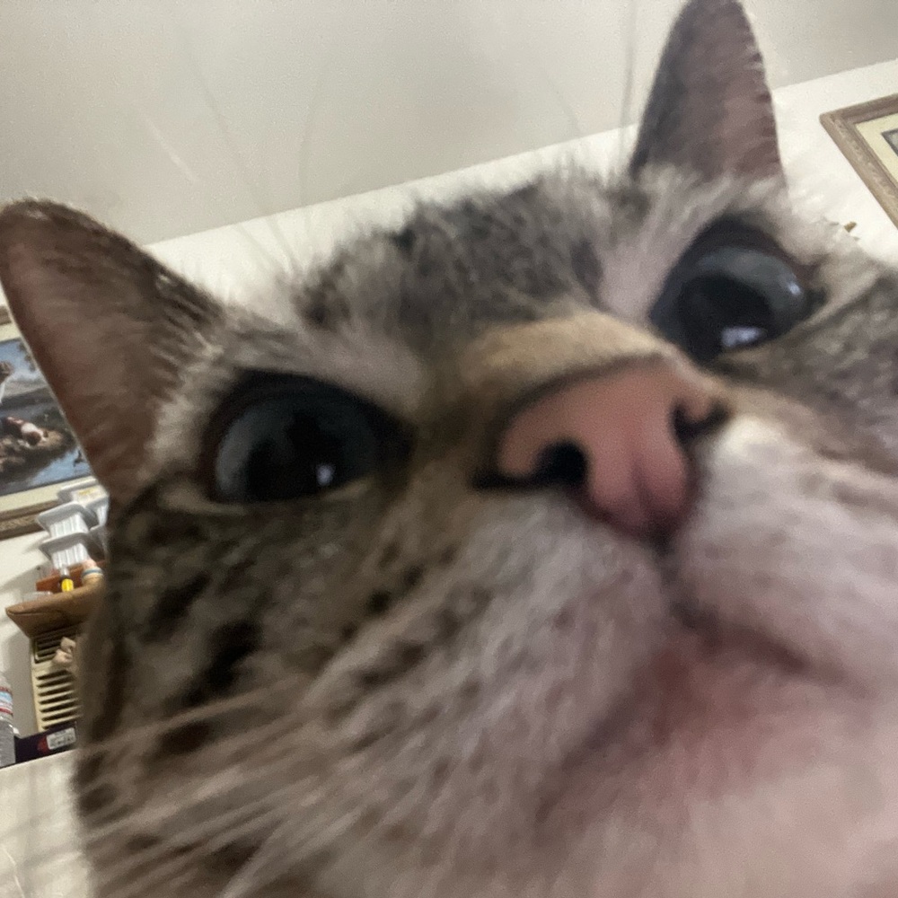 Meet your Posher, Lucy